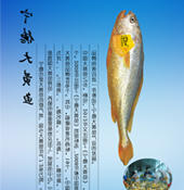 赌球平台推荐