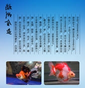 赌球平台推荐