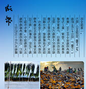 赌球平台推荐