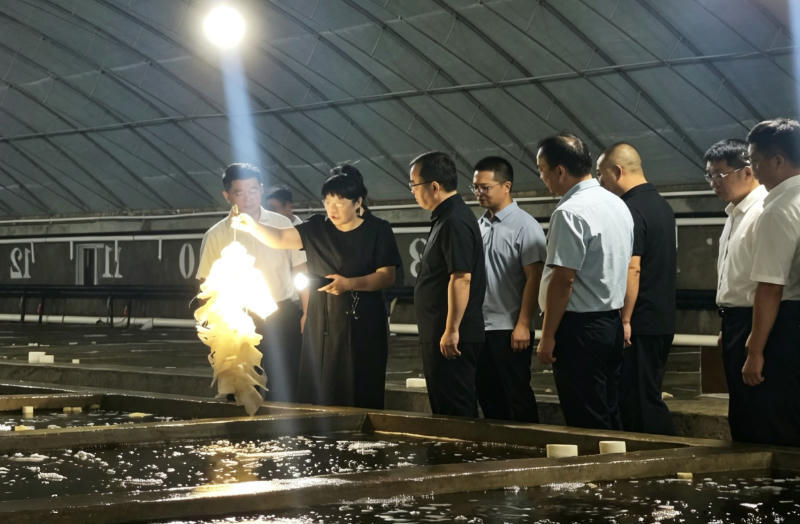 赌球平台推荐