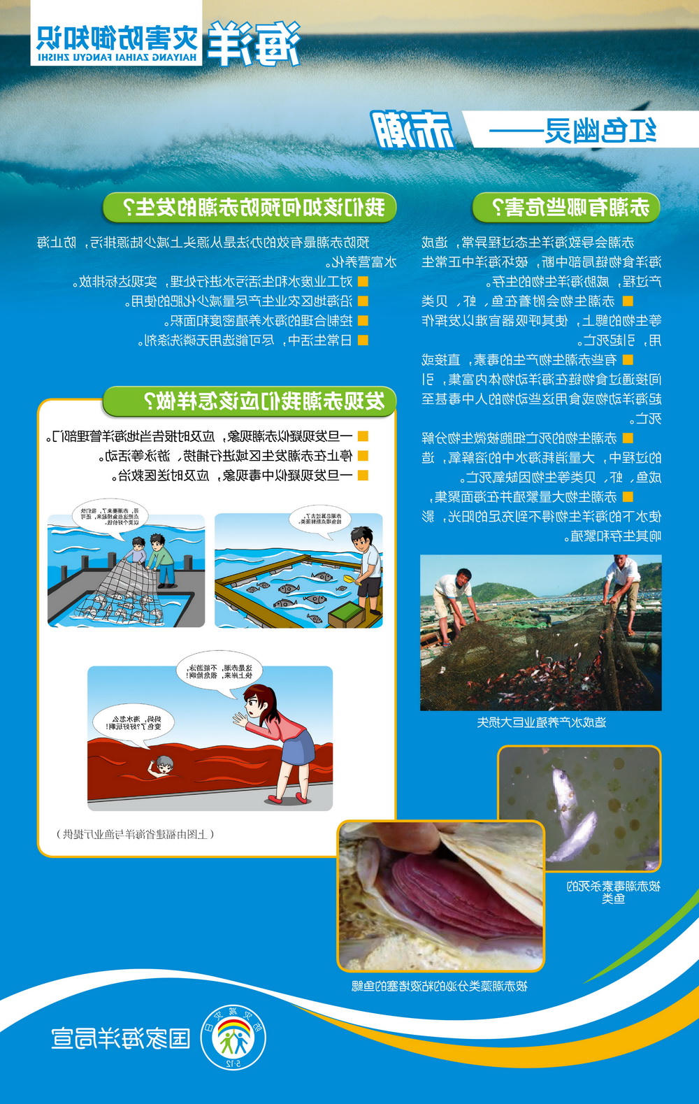 赌球平台推荐