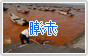 赌球平台推荐